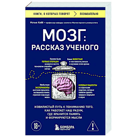 Фото Мозг: рассказ ученого. Извилистый путь к пониманию того, как работает наш разум, где хранится память и формируются мысли