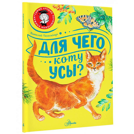 Фото Для чего коту усы?