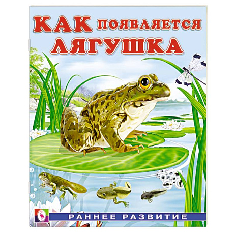 Фото Как появляется лягушка