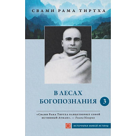 В лесах богопознания. Том 3