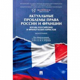 Актуальные проблемы права России и Франции. Взгляд российских и французских юристов. Монография