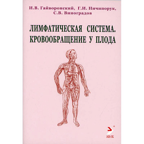 Фото Лимфатическая ситема. Кровообращение у плода. Учебное пособие