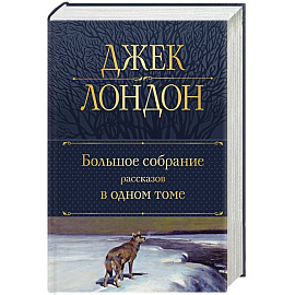 Большое собрание рассказов в одном томе