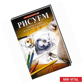 Рисуем собак, кошек и других животных