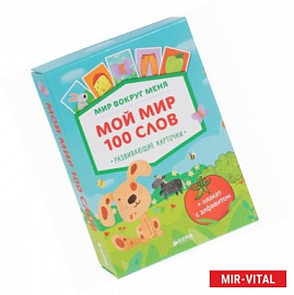 Мой мир. 100 слов