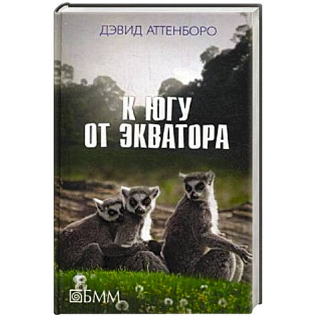 Фото К югу от экватора