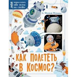 Как полететь в космос?