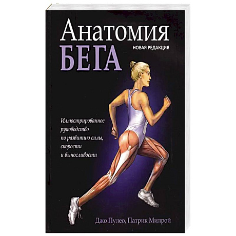 Фото Анатомия бега