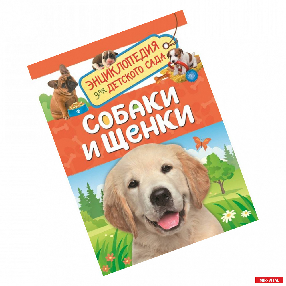 Фото Собаки и щенки. Энциклопедия для детского сада