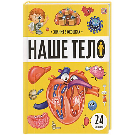 Фото Знания в окошках. Наше тело