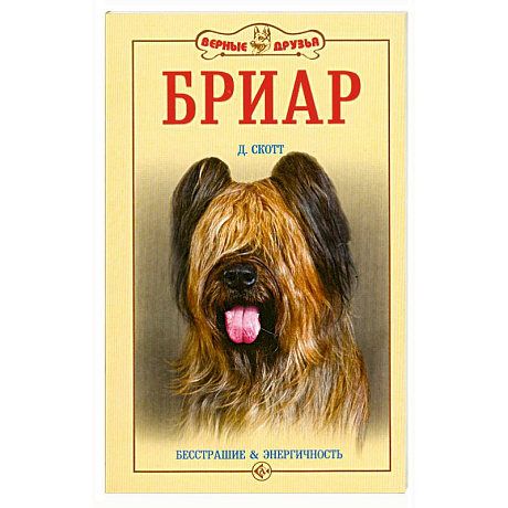 Фото Бриар: бесстрашие и энергичность
