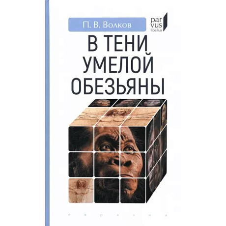 Фото В тени умелой обезьяны