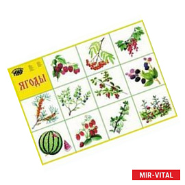 Плакат 'Ягоды'
