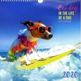 Календарь настенный на 2020 год 'Домашние любимцы. Каникулы' (КПКС2006)