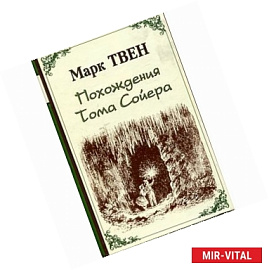 Похождения Тома Сойера