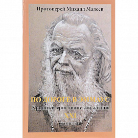 По дороге в Эммаус. Хроники христианской жизни 21 столетия