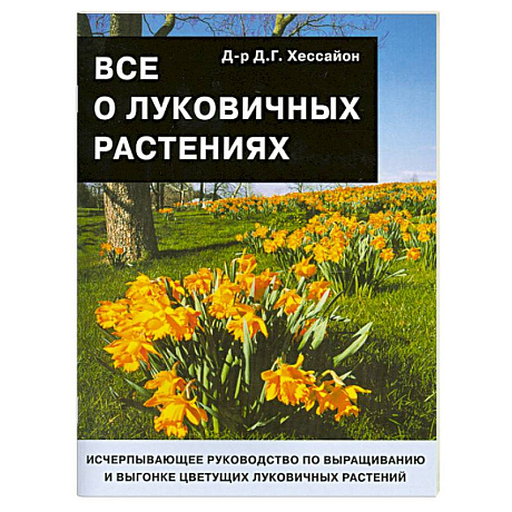 Фото Все о луковичных растениях
