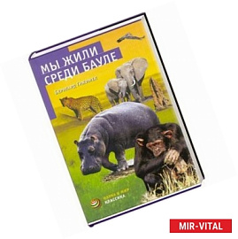Мы жили среди бауле