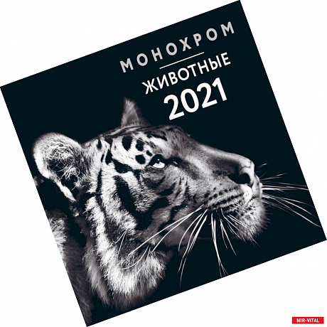 Фото Монохром. Животные. Календарь настенный на 2021 год (300х300 мм)