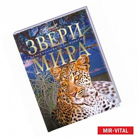 Звери мира