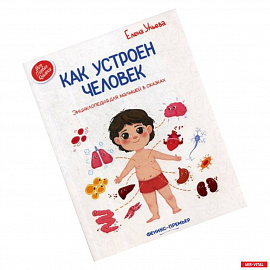 Как устроен человек