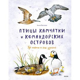 Птицы Камчатки и Командорских островов. Где найти и как узнать