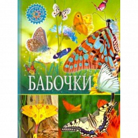 Бабочки
