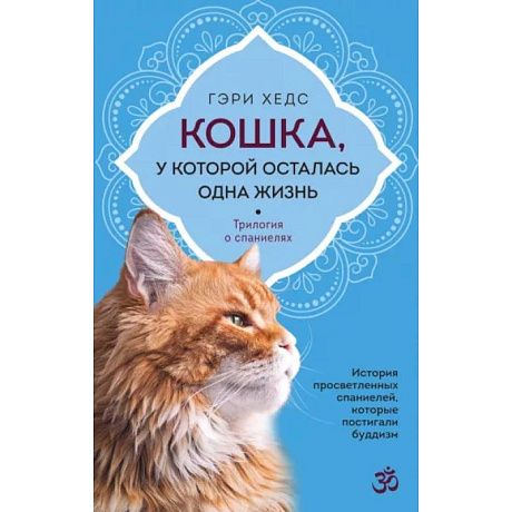 Фото Кошка, у которой осталась одна жизнь