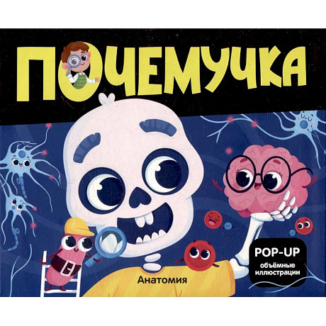 Фото Почемучка. Анатомия