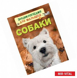 Собаки