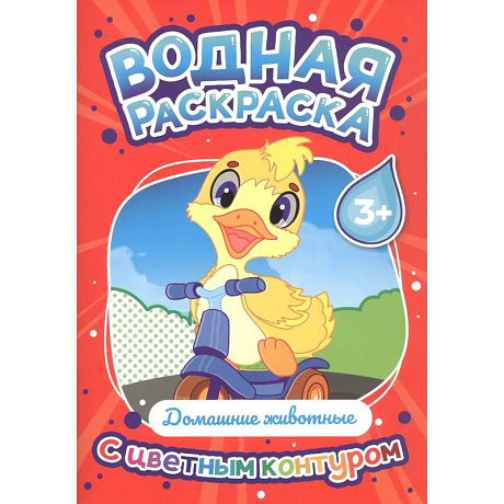 Фото Домашние животные