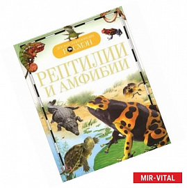 Рептилии и амфибии