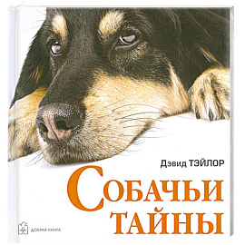 Собачьи тайны