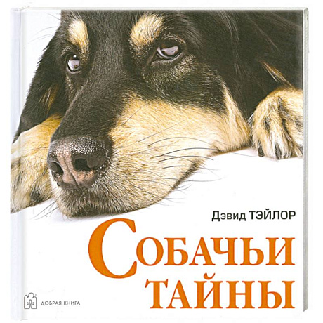 Фото Собачьи тайны
