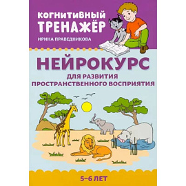 Нейрокурс для развития пространственного восприятия. 5-6 лет