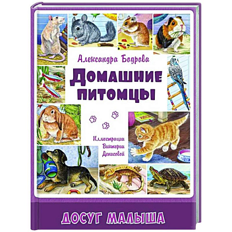 Фото Домашние питомцы