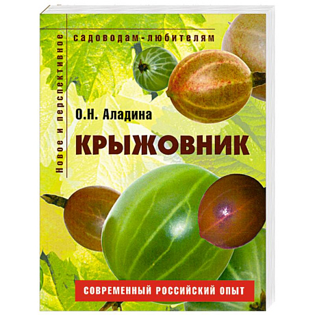 Фото Крыжовник