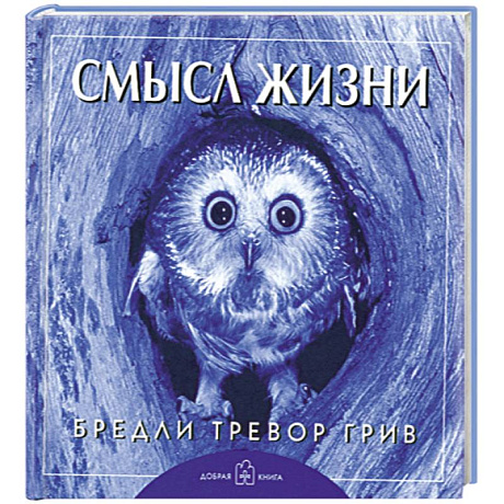 Фото Смысл жизни