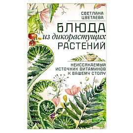 Блюда из дикорастущих растений. Неиссякаемый источник витаминов к вашему столу