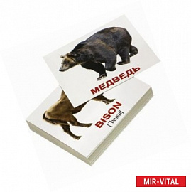 Комплект мини-карточек 'Wild animals/Дикие животные' (40 штук)