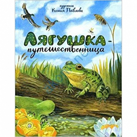 Фото Лягушка-путешественница