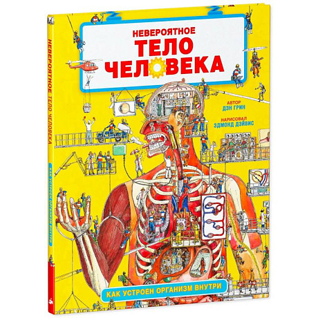 Фото Невероятное тело человека. Как устроен организм внутри
