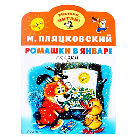 Ромашки в январе