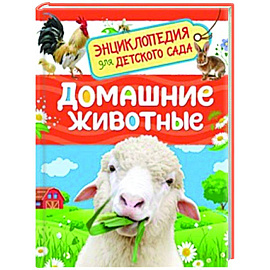 Домашние животные