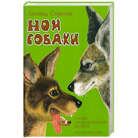 Фото Мои собаки