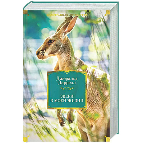 Фото Звери в моей жизни