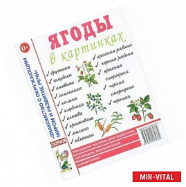 Ягоды в картинках. Наглядное пособие для педагогов, логопедов, воспитателей и родителей