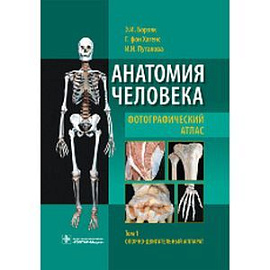 Анатомия человека. Фотографический атлас. В 3 т. Т. 1: Опорно-двигательный аппарат : учебное пособие.