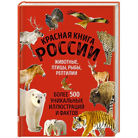Фото Красная книга России. Большой формат. Более 500 уникальных иллюстраций и фактов