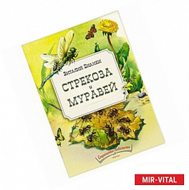 Стрекоза и Муравей